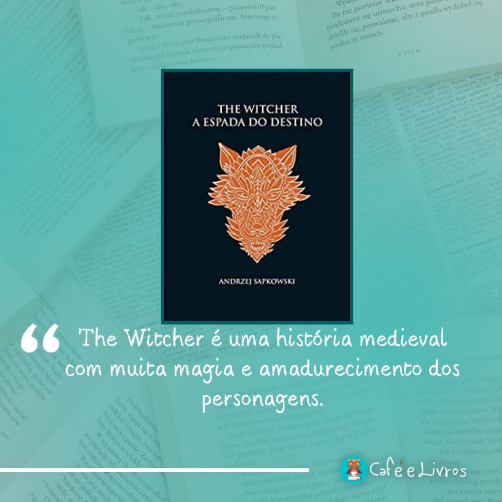 foto do livro the wicther a espada do destino