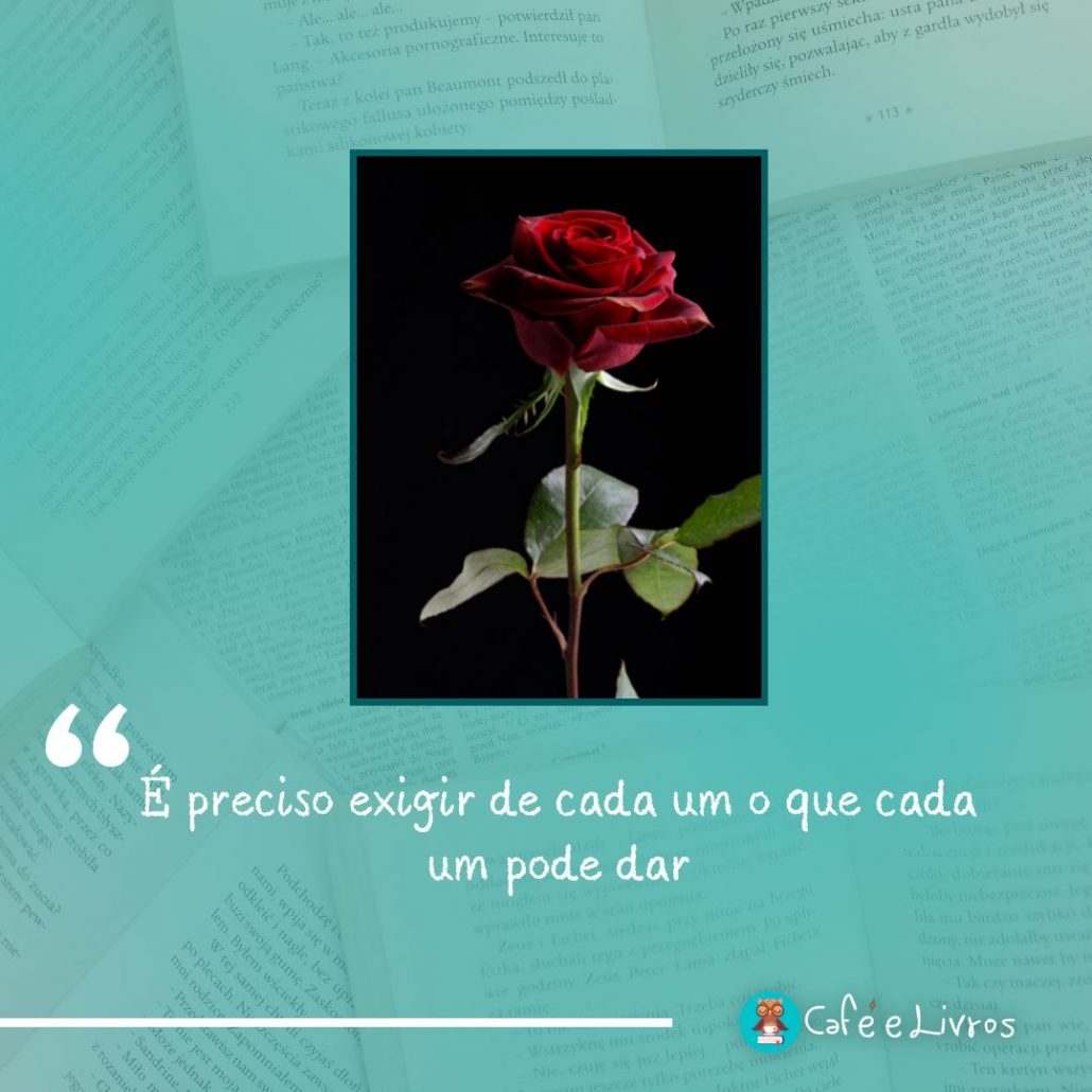 foto de uma rosa com frase do livro