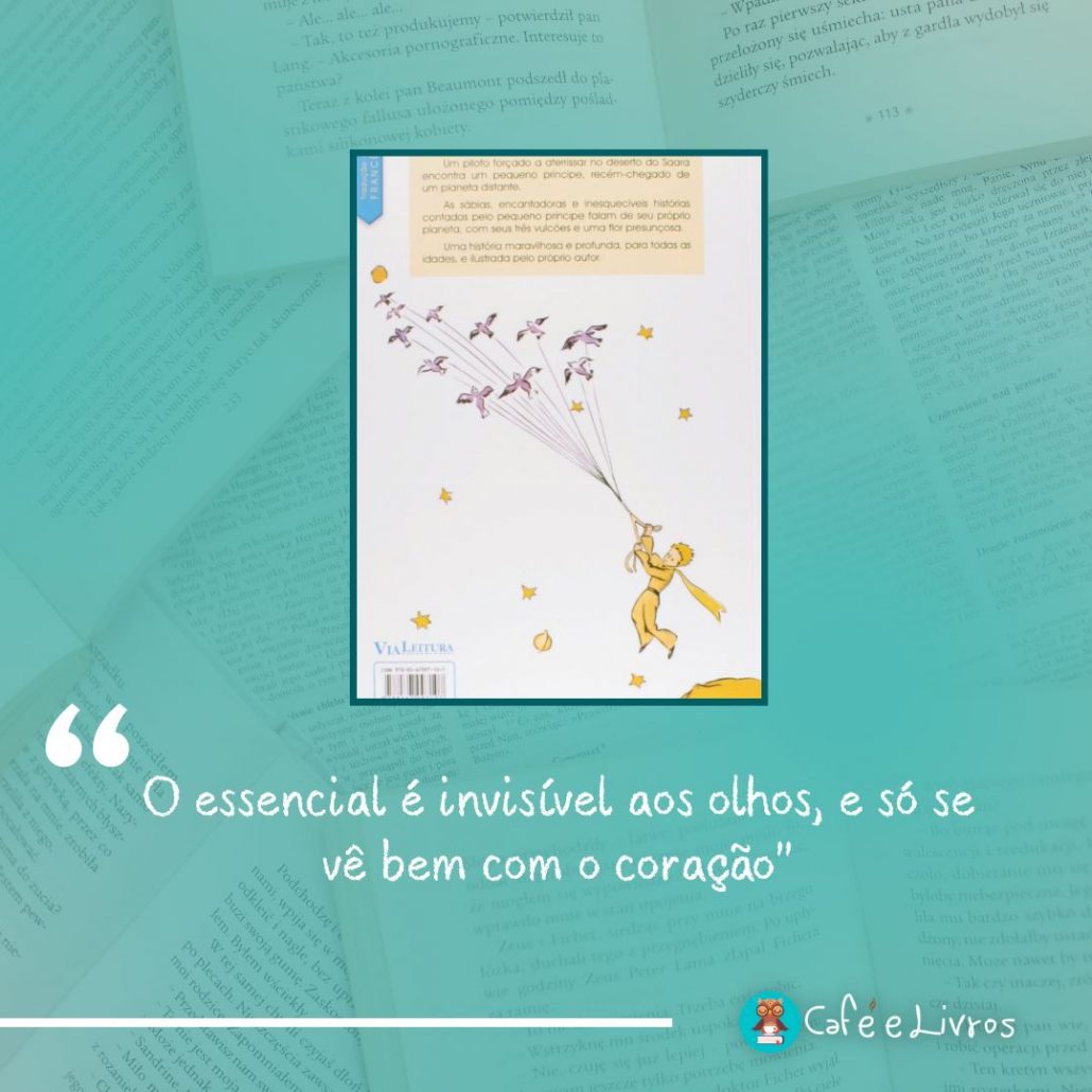 foto do fundo do livro com frase