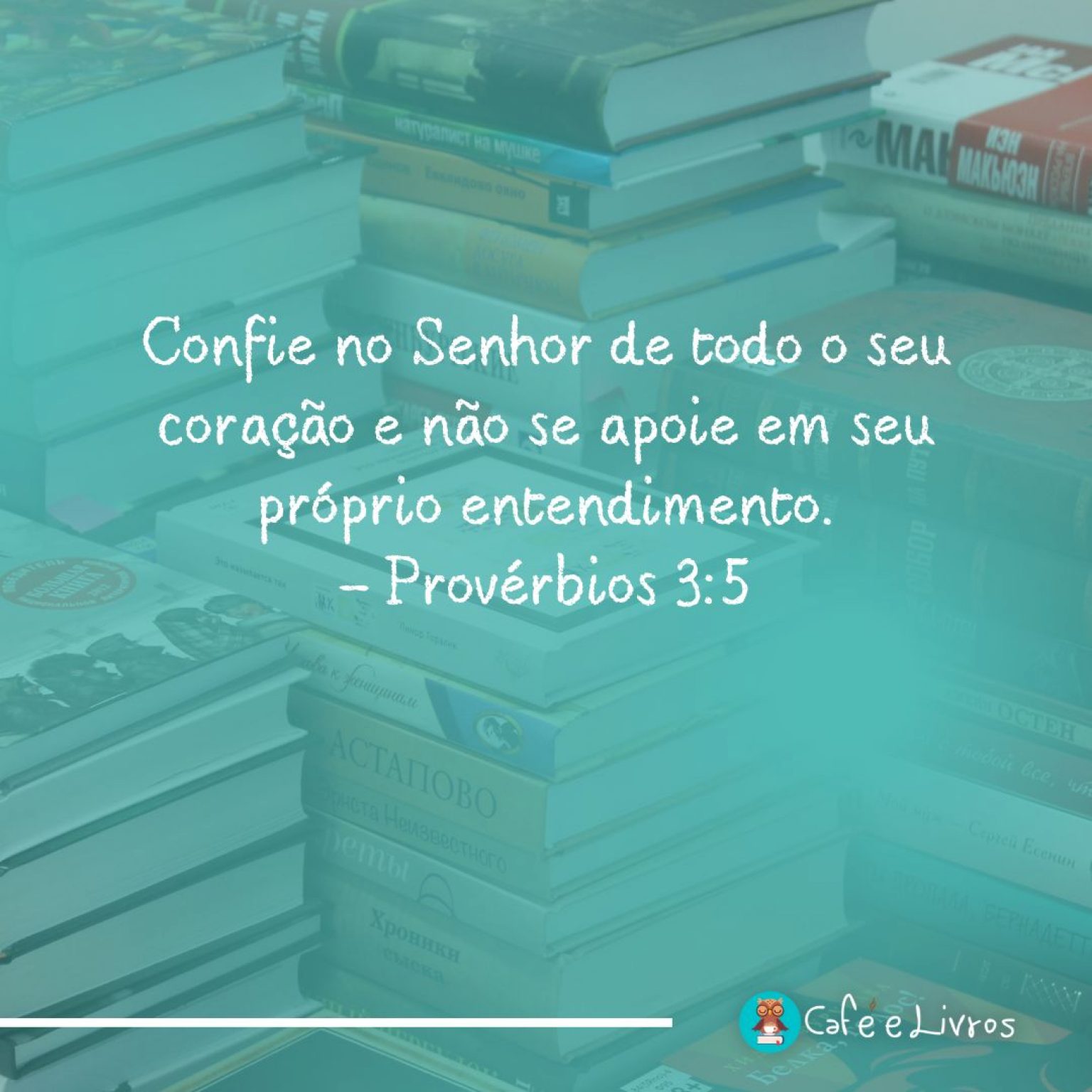 Como Ler A Bíblia Na Ordem Correta? Guia Completo!